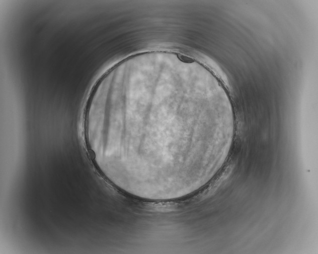 X0000100930952200807221134