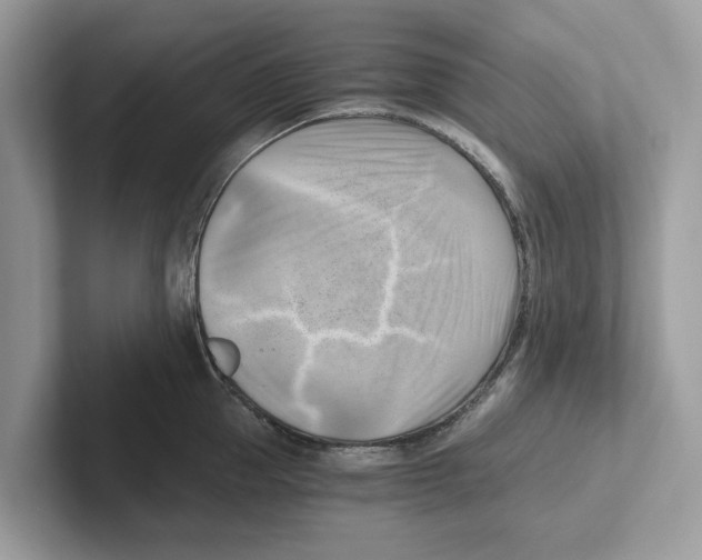 X0000100930953200807221134