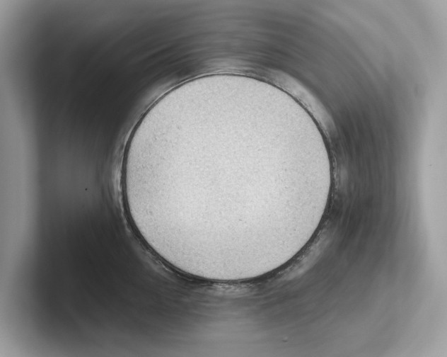 X0000100930954200807221134