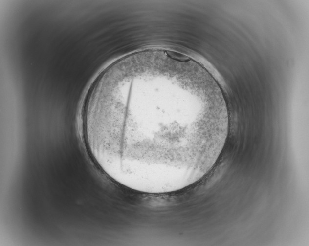 X0000100930955200807221134