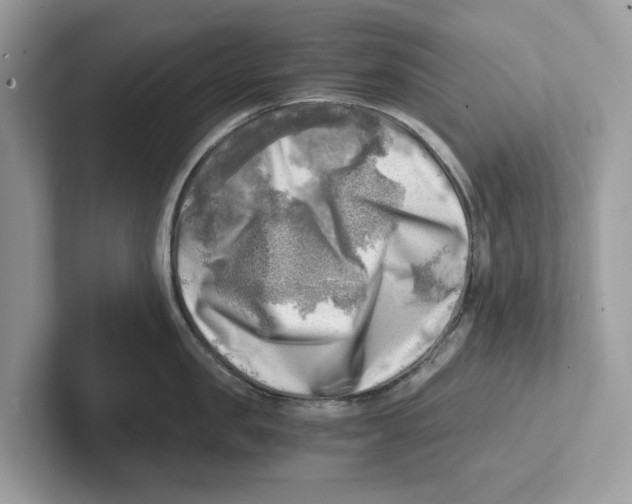 X0000100930957200807221134