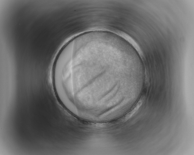 X0000100930958200807221134