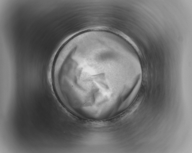 X0000100930959200807221134