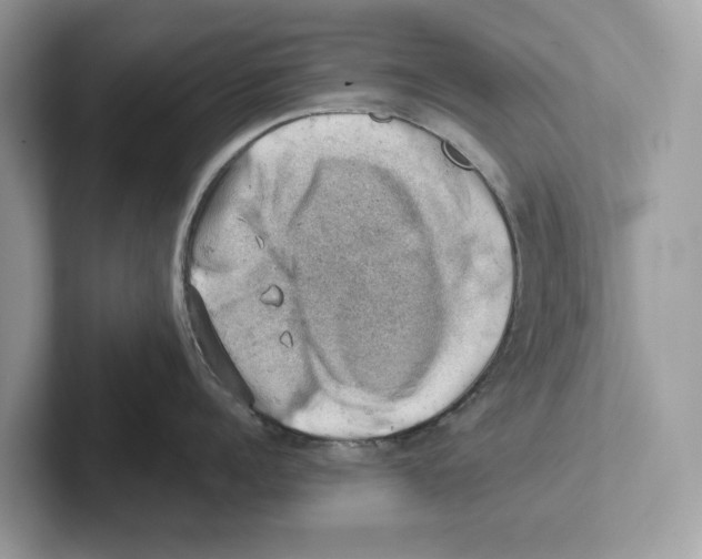 X0000100930960200807221134