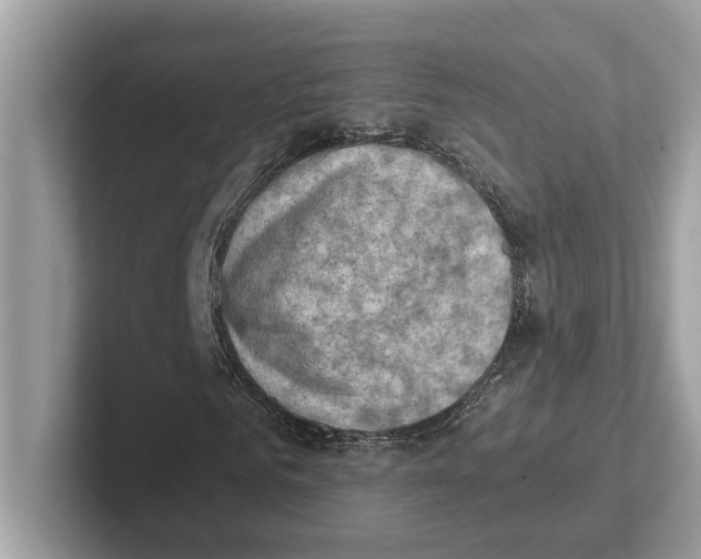 X0000100930961200807221134