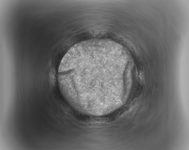 X0000100930963200807221133