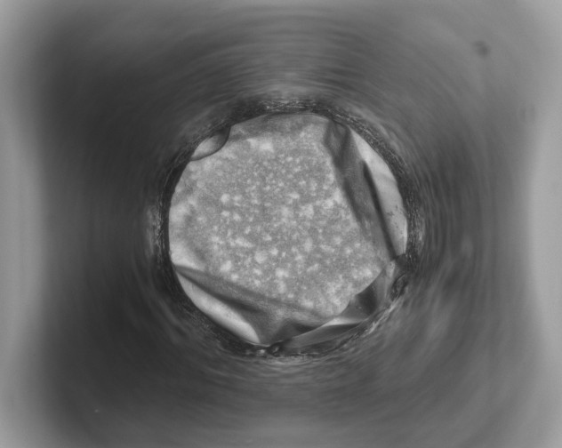 X0000100930964200807221133