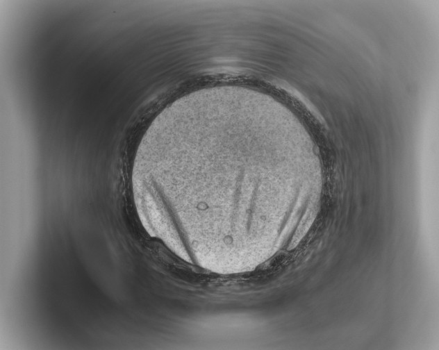 X0000100930967200807221133