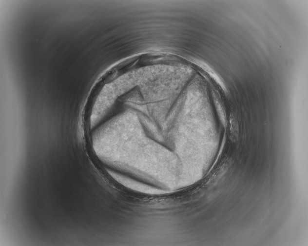 X0000100930972200807221133