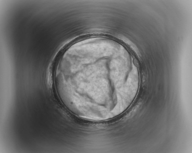 X0000100930973200807221133