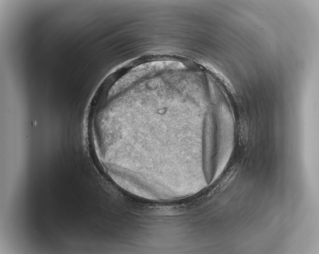 X0000100930976200807221133