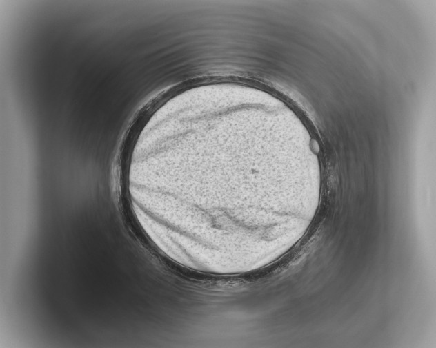 X0000100930979200807221133