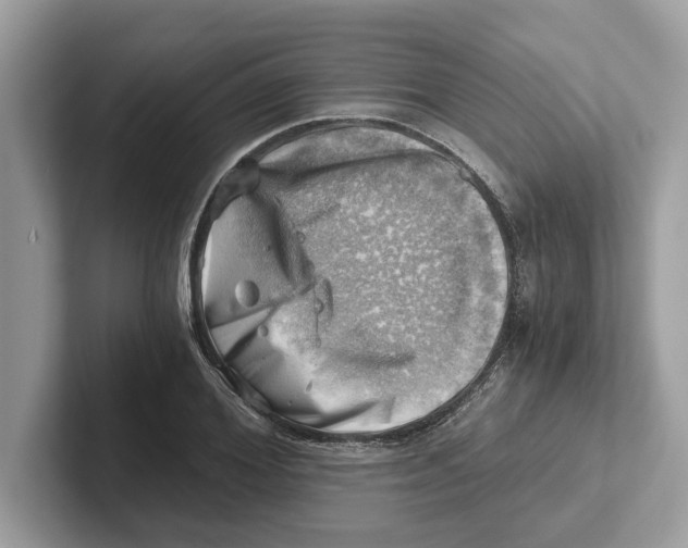 X0000100930980200807221133