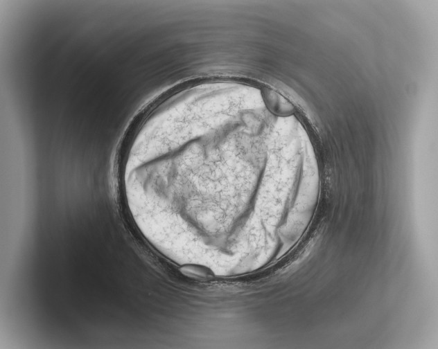 X0000100930981200807221133