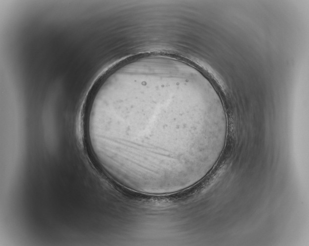 X0000100930983200807221133