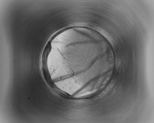 X0000100930988200807221133