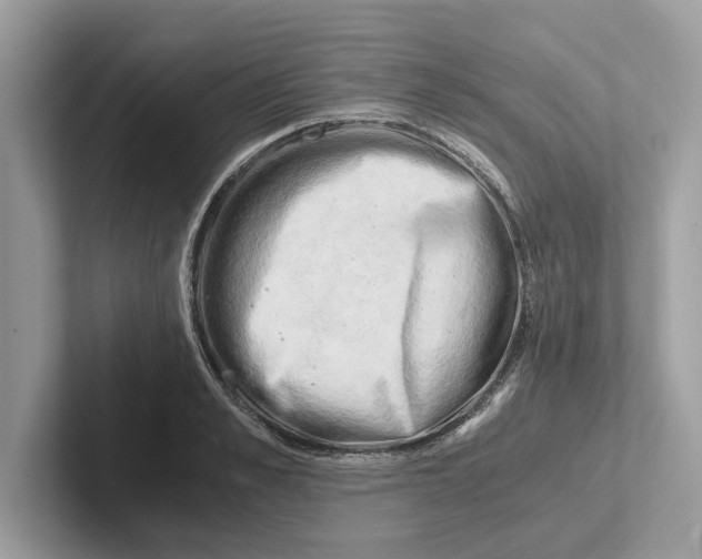 X0000100930989200807221133