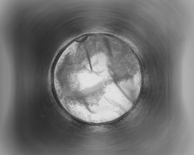 X0000100930990200807221133