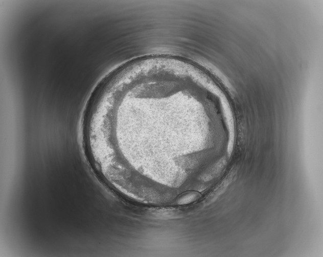 X0000100930991200807221133