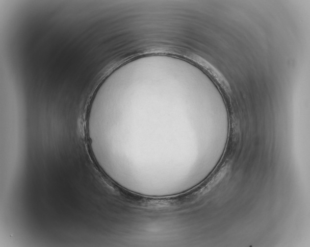 X0000100930993200807221133