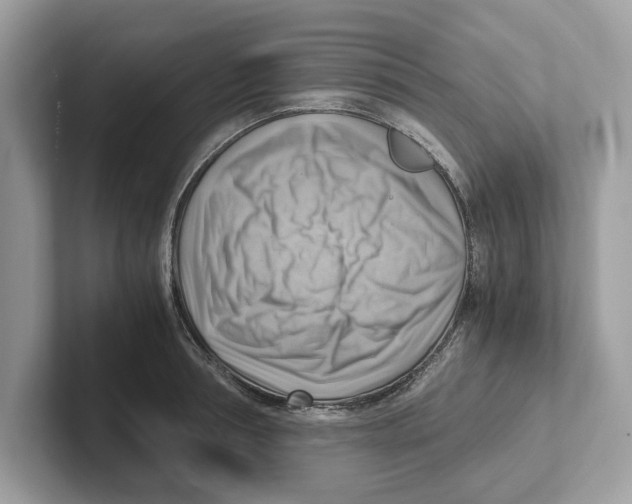 X0000100930994200807221133