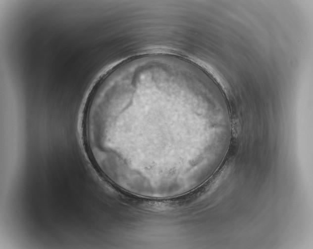 X0000100930995200807221133