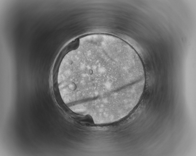 X0000100930996200807221133