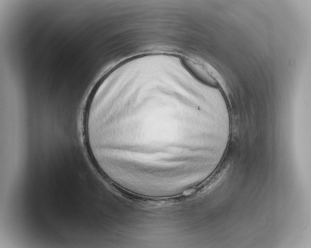 X0000100930997200807221133