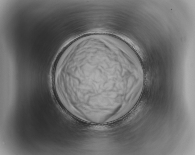 X0000100930998200807221133