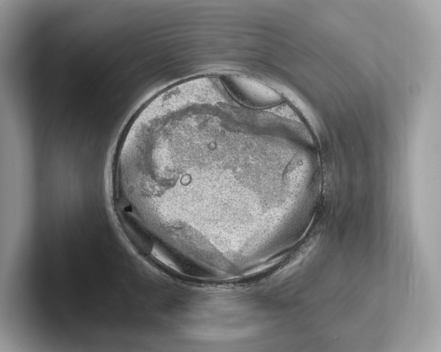 X0000100930999200807221133