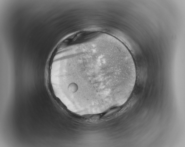 X0000100931000200807221133