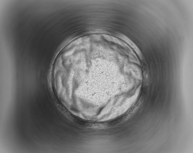 X0000100931002200807221133