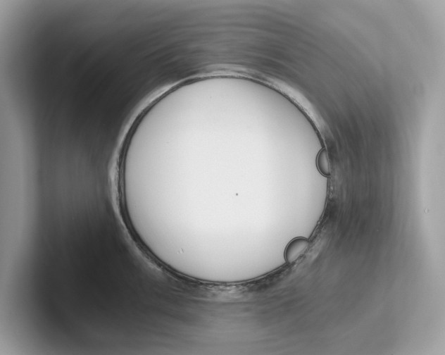 X0000100931003200807221133