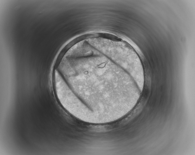 X0000100931004200807221133