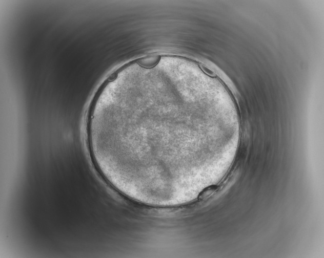 X0000100931005200807221133