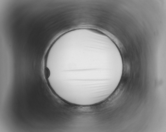 X0000100931006200807221133