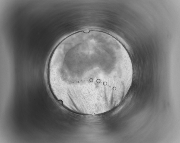 X0000100931007200807221133