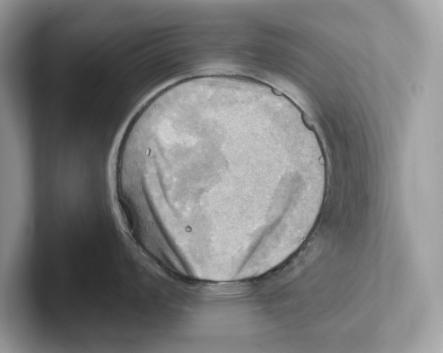 X0000100931008200807221133