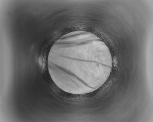 X0000100931011200807221132