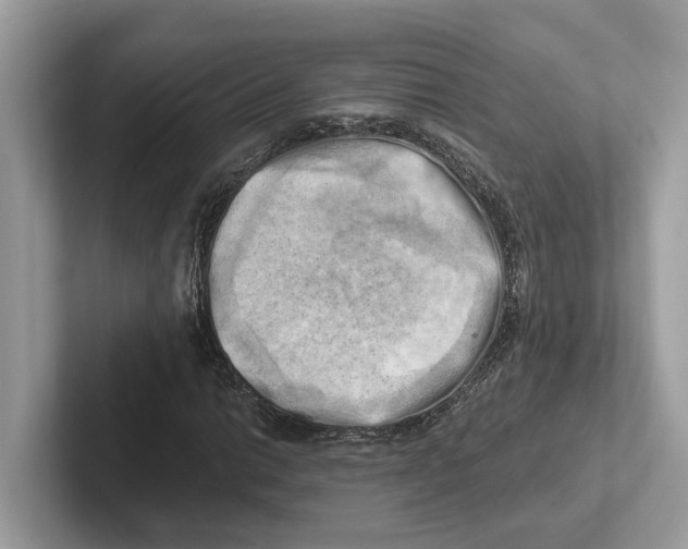 X0000100931014200807221132