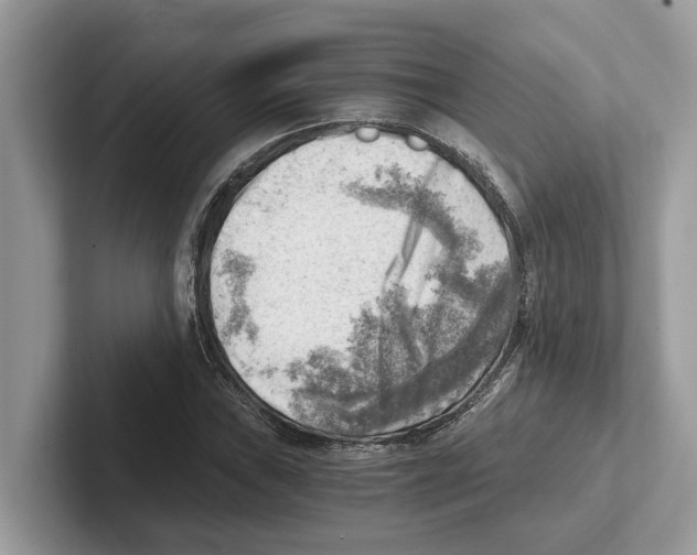 X0000100931019200807221132