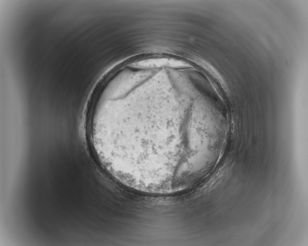 X0000100931020200807221132