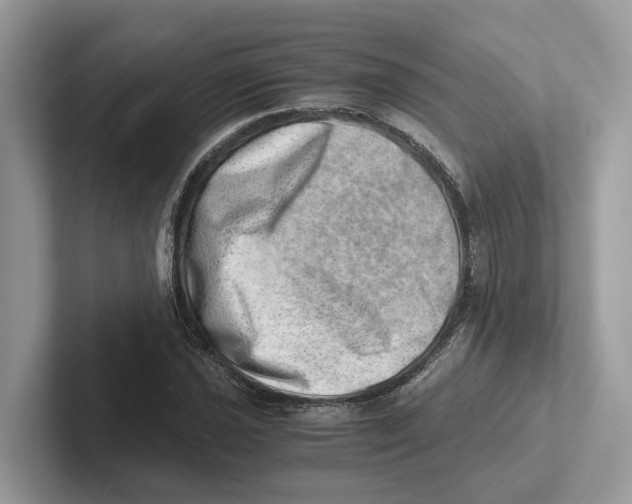 X0000100931021200807221132