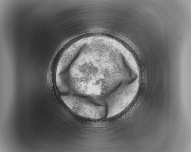 X0000100931022200807221132