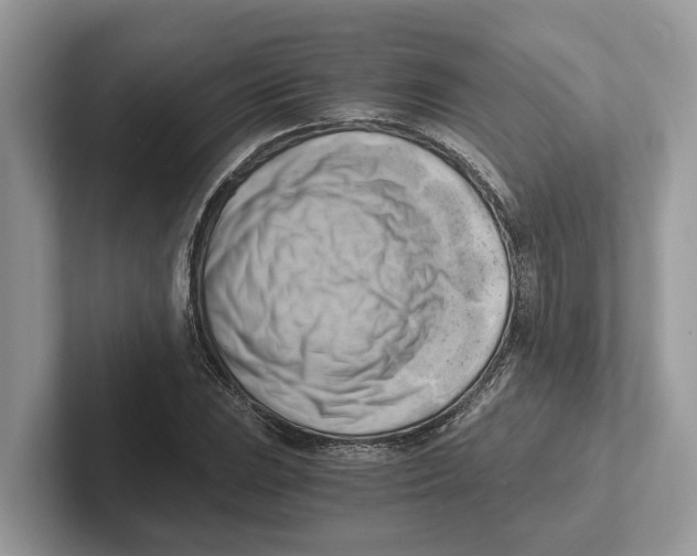 X0000100931023200807221132