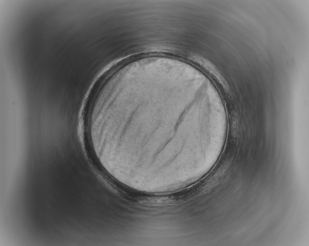 X0000100931024200807221132