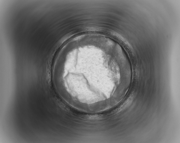 X0000100931025200807221132