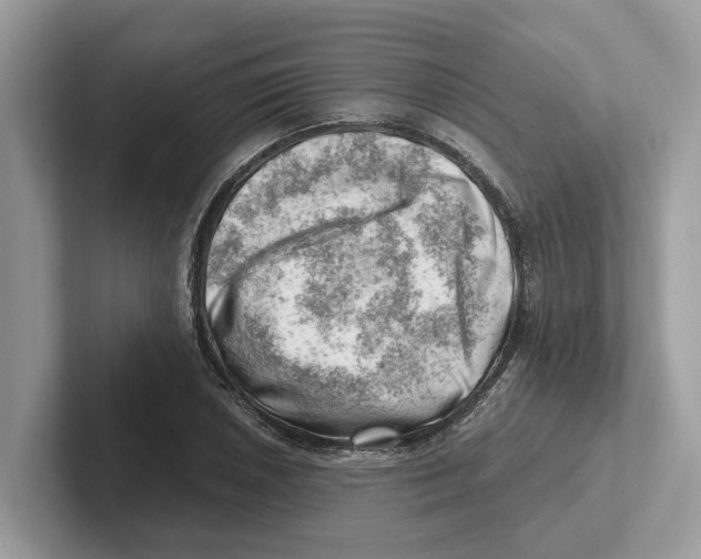 X0000100931026200807221132