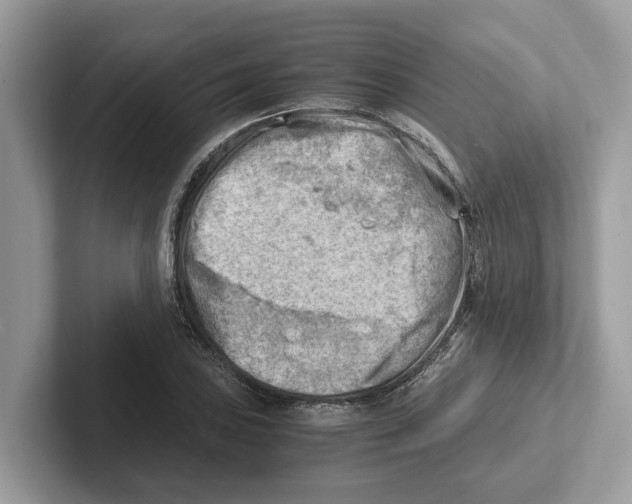 X0000100931027200807221132