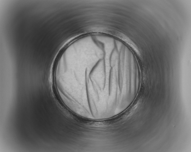 X0000100931028200807221132